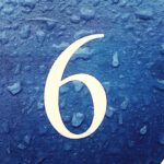 6
